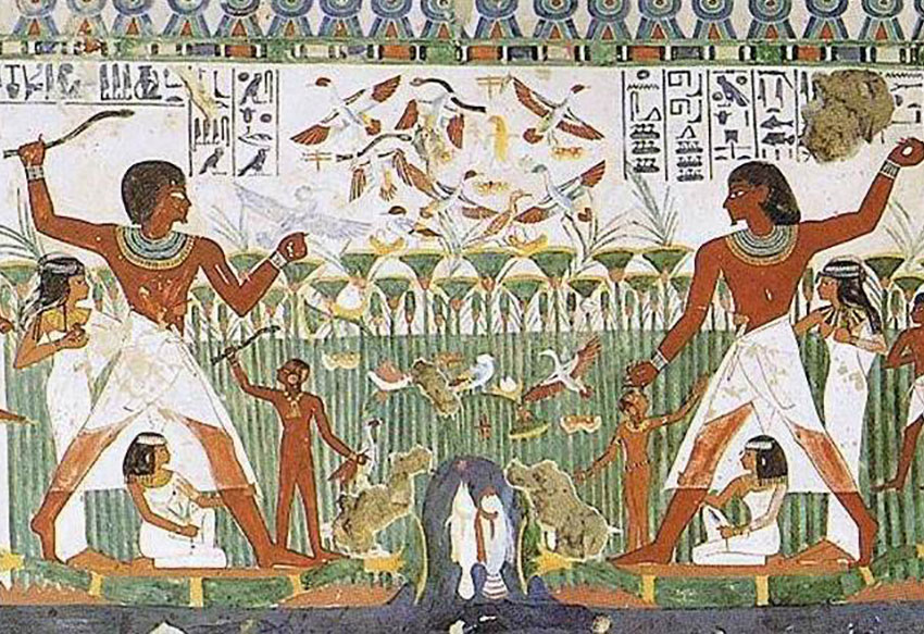 Восьмая казнь Египетская,  или как можно побороть саранчу