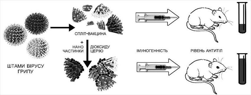 Рис. 3