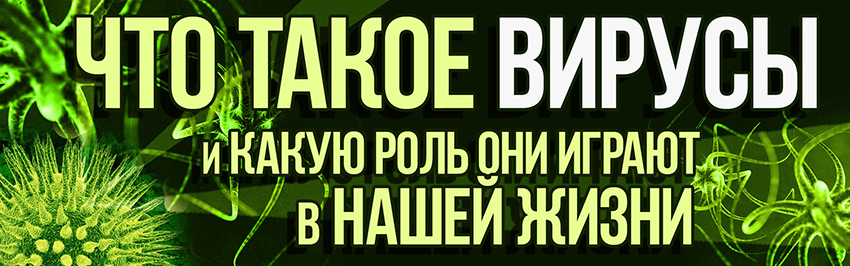 Вирусы. Научно-популярный журнал для юношества «Страна знаний» №3, 2017