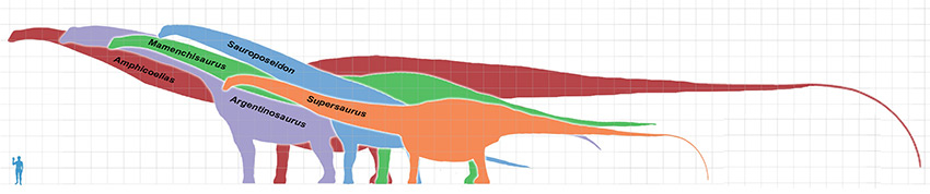 «Парад» крупнейших динозавров