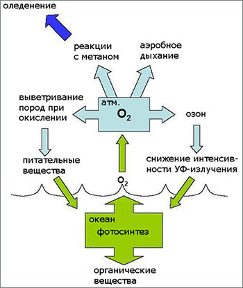 Кислородная катастрофа