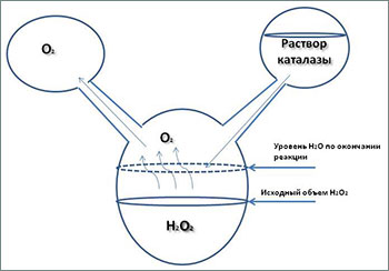 Принцип работы кислородного реактора