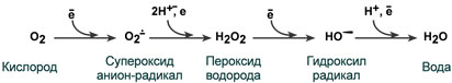 oxygen f1