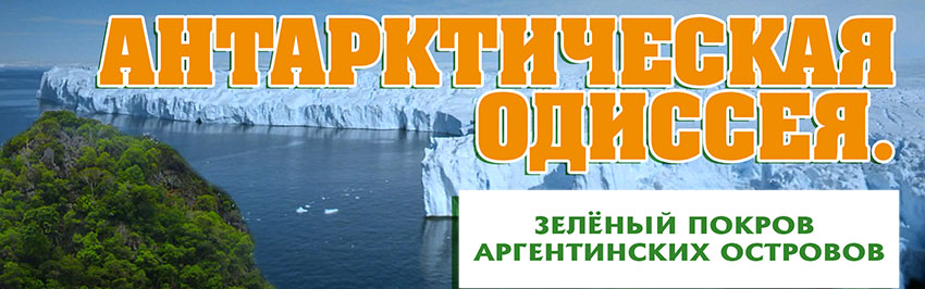Антарктическая Одиссея. Зелёный покров Аргентинских островов. Научно-популярный журнал для юношества «Страна знаний» №2, 2018