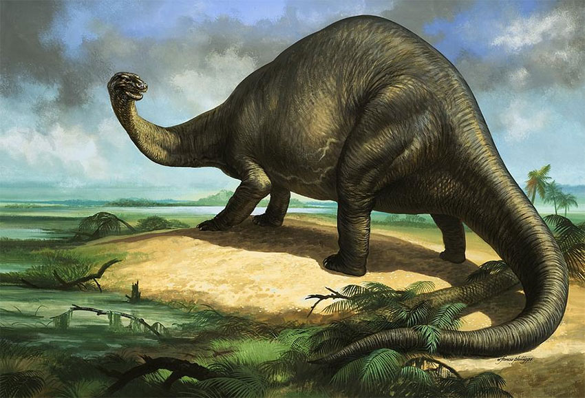Бронтозавр (апатозавр)