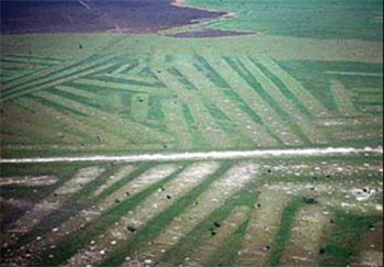 Снимок с самолета древних «поднятых полей»