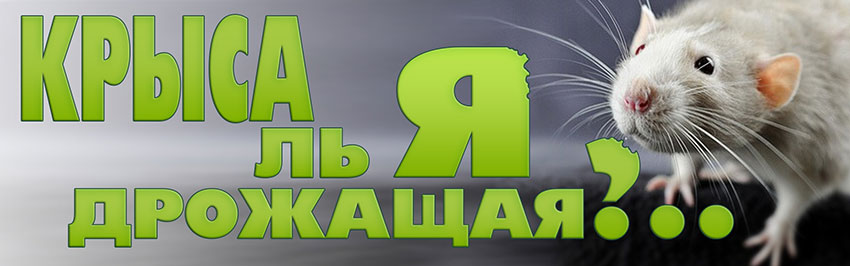 Крыса ль я дрожащая?.. Научно-популярный журнал для юношества «Страна знаний» №3, 2018