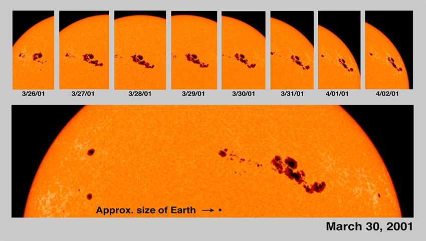 Самая большая группа солнечных пятен в 24-м цикле активности в процессе движения по диску Солнца