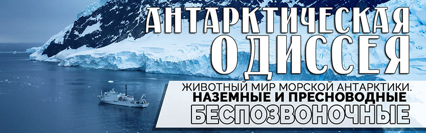 Антарктическая Одиссея. Научно-популярный журнал для юношества «Страна знаний» №6, 2018