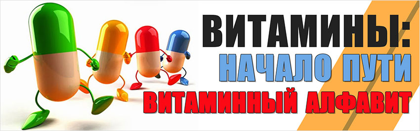 Витамины: начало пути. Витаминный алфавит. Научно-популярный журнал для юношества «Страна знаний» №8, 2018