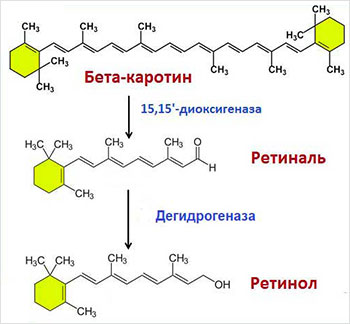 B-каротин и витамин A (ретинол)