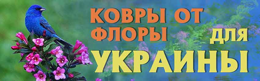 Ковры от Флоры для Украины. Научно-популярный журнал для юношества «Страна знаний» №10, 2018