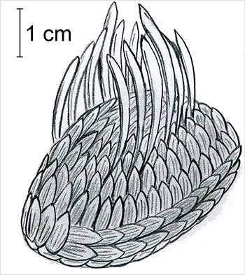 Рис. 3