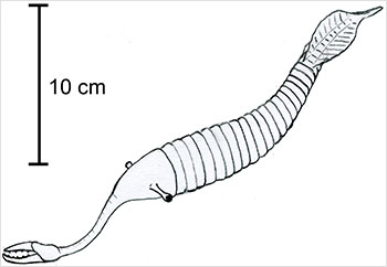 Рис. 7