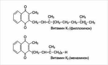 Витамин K и его формы