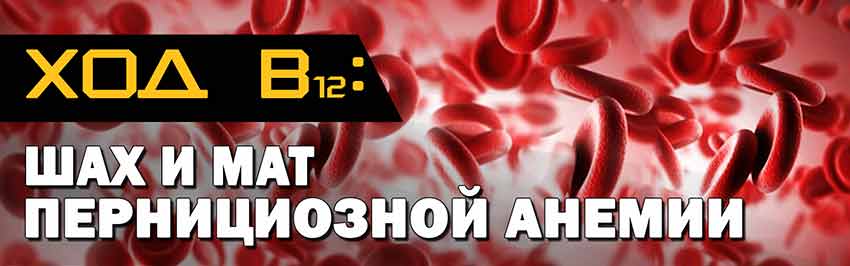 Ход В12: шах и мат пернициозной анемии. Научно-популярный журнал для юношества «Страна знаний» №2, 2019