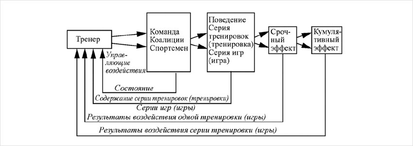 Схема управления тренировочным процессом