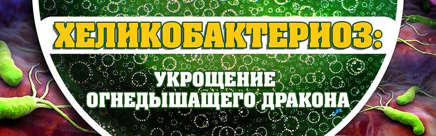 Хеликобактериоз: укрощение огнедышащего дракона. Научно-популярный журнал для юношества «Страна знаний» №3, 2019 Хеликобактериоз: укрощение огнедышащего дракона. Научно-популярный журнал для юношества «Страна знаний» №3, 2019