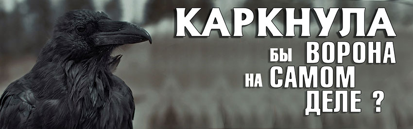 Каркнула бы ворона на самом деле? Научно-популярный журнал для юношества «Страна знаний» №3, 2019