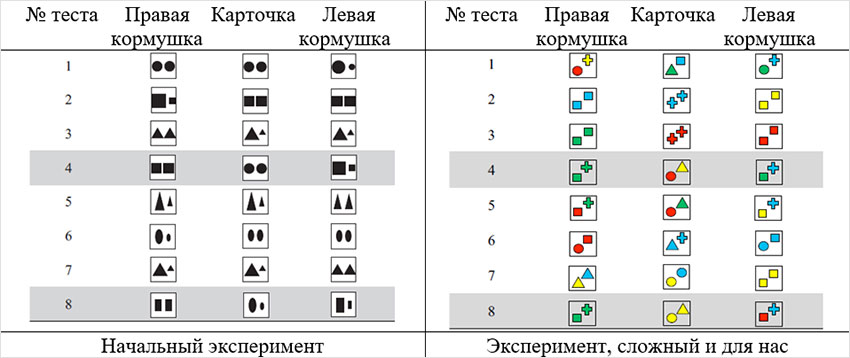 Вороны. Опыты