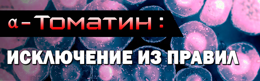 α-томатин: исключение из правил. Научно-популярный журнал для юношества «Страна знаний» №5, 2019