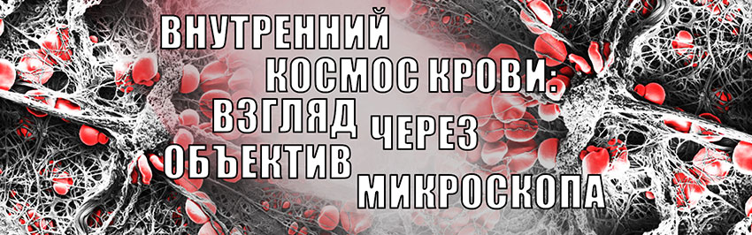 Внутренний космос крови: взгляд через объектив микроскопа. Научно-популярный журнал для юношества «Страна знаний» №8, 2019