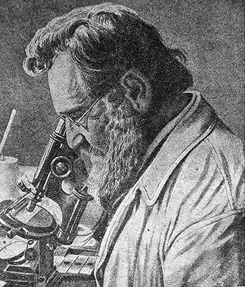 Илья Ильич Мечников (1845-1916)