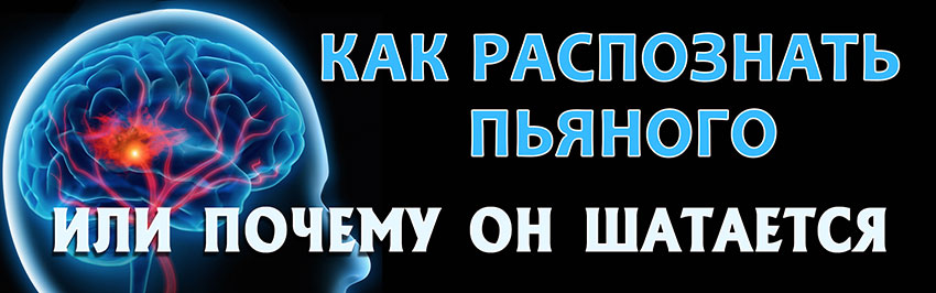 Как распознать пьяного, или почему он шатается. Научно-популярный журнал для юношества «Страна знаний» №9, 2019