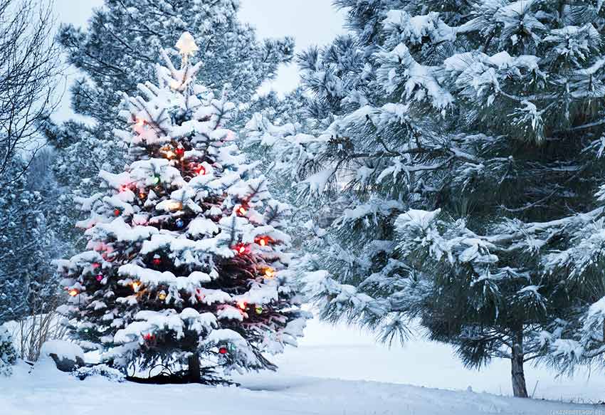 Таємниці Нового року: подорож у часі та традиції святкування