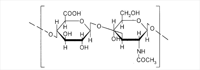 Гиалуроновая кислота
