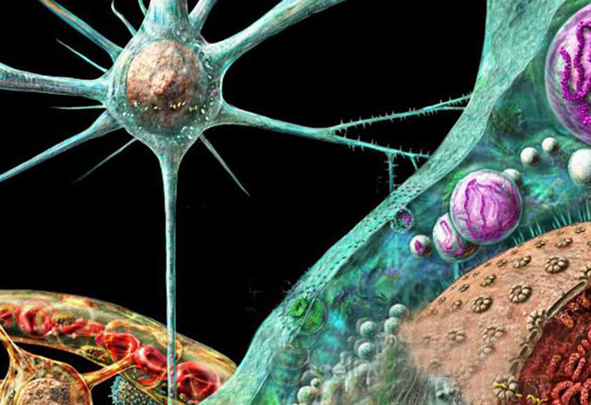 Прионы – новая страница в биологической и медицинской науке