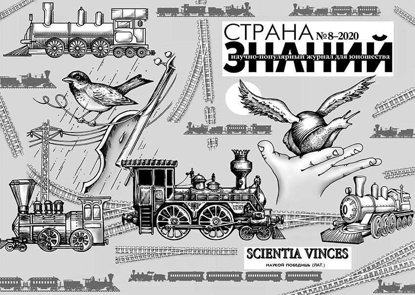 Страна Знаний №8, 2020