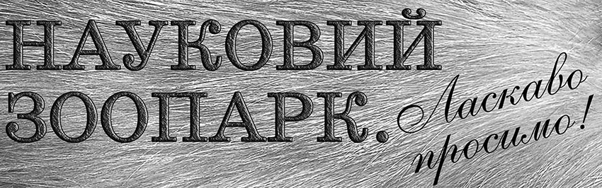 Науковий зоопарк. Ласкаво просимо. Науково-популярний журнал для юнацтва «Країна знань» №1, 2022