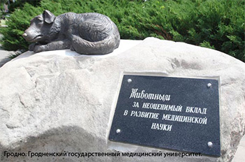 Пам’ятник тваринам у Гродно