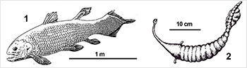 Рис.5 Рис.5