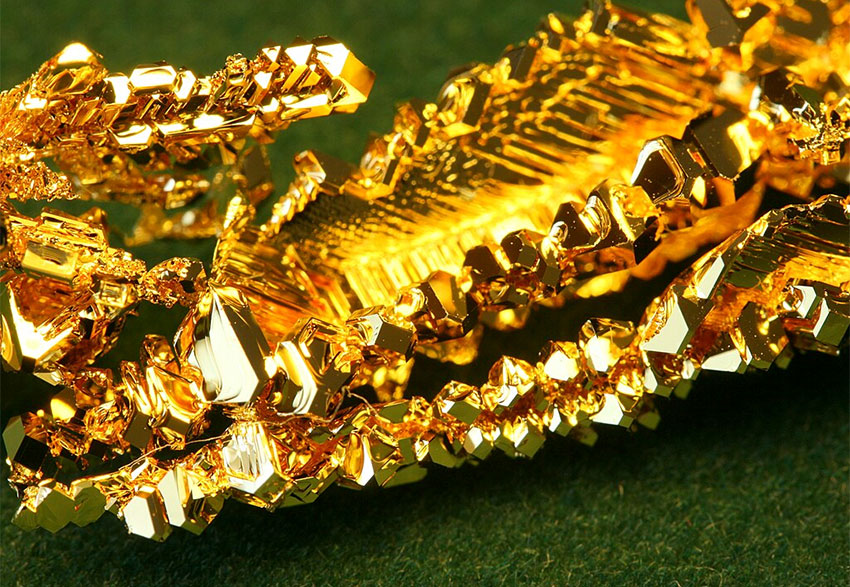 Рослини-індикатори та накопичувачі золота