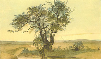 Т.Г. Шевченко. Джангис-агач. 1848, акварель